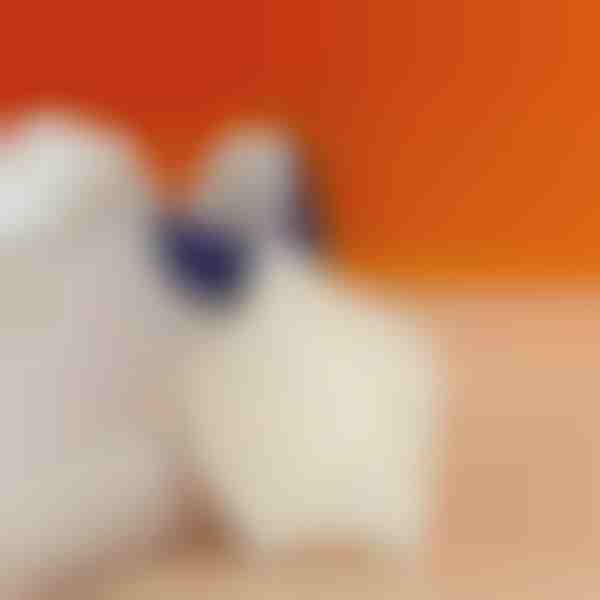 Fersenpolster zur Linderung von Fersenschmerzen | STEPHEEL